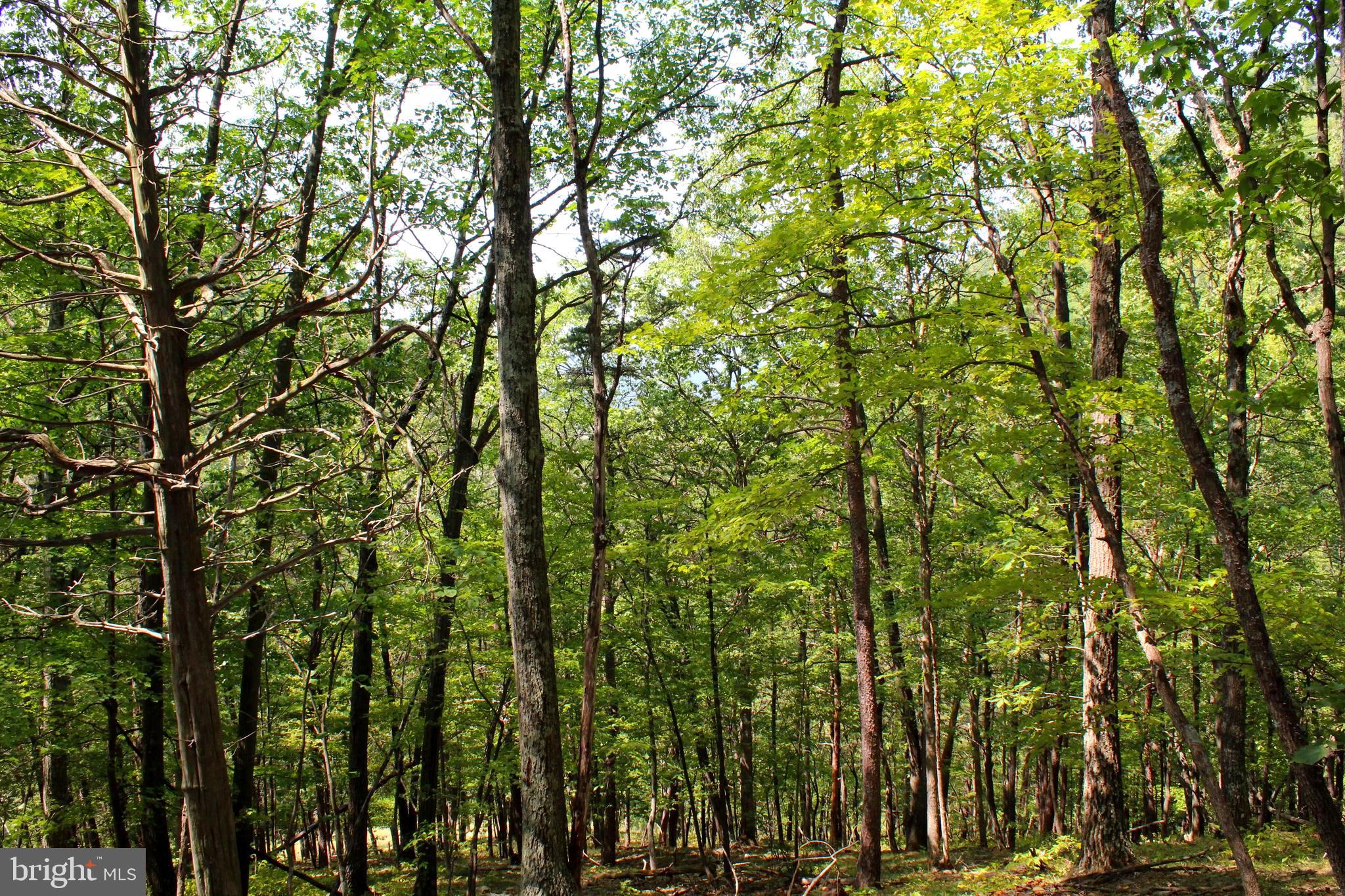 NONE AVAILABLE - Land