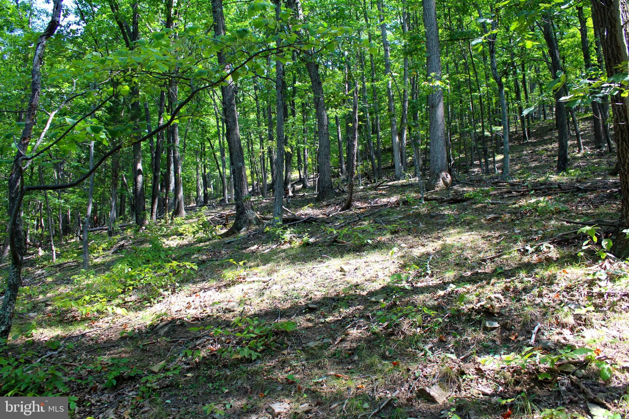 NONE AVAILABLE - Land