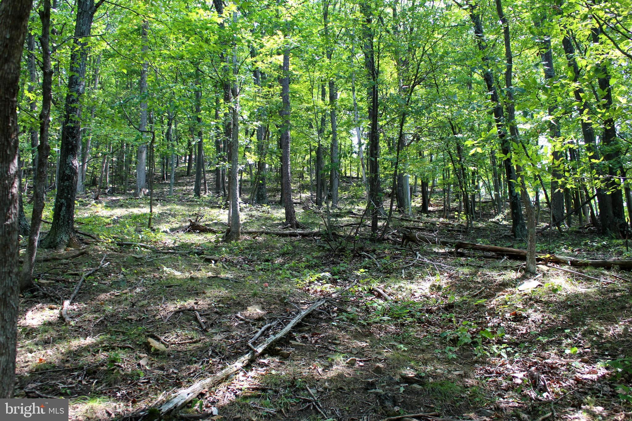 NONE AVAILABLE - Land