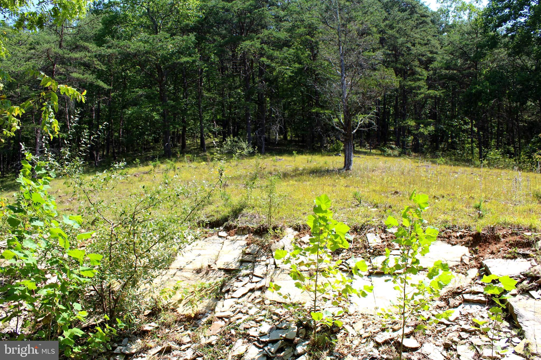 NONE AVAILABLE - Land