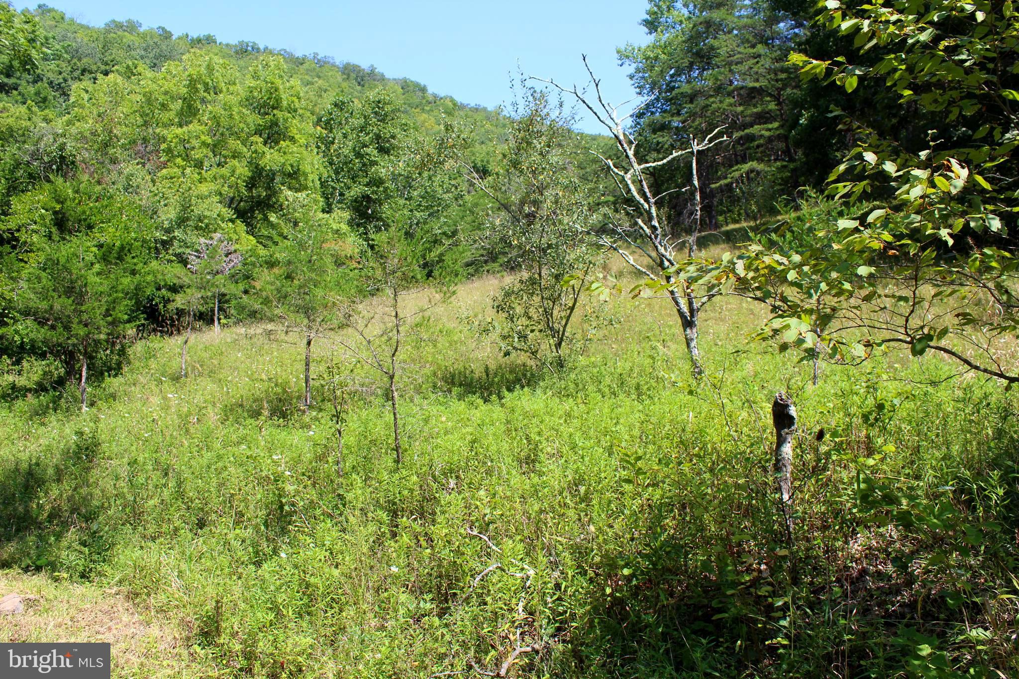 NONE AVAILABLE - Land