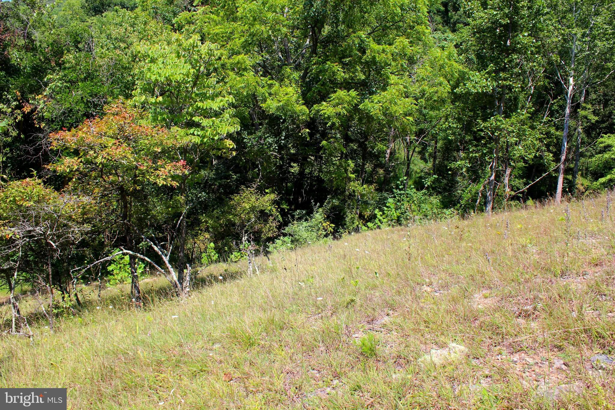 NONE AVAILABLE - Land