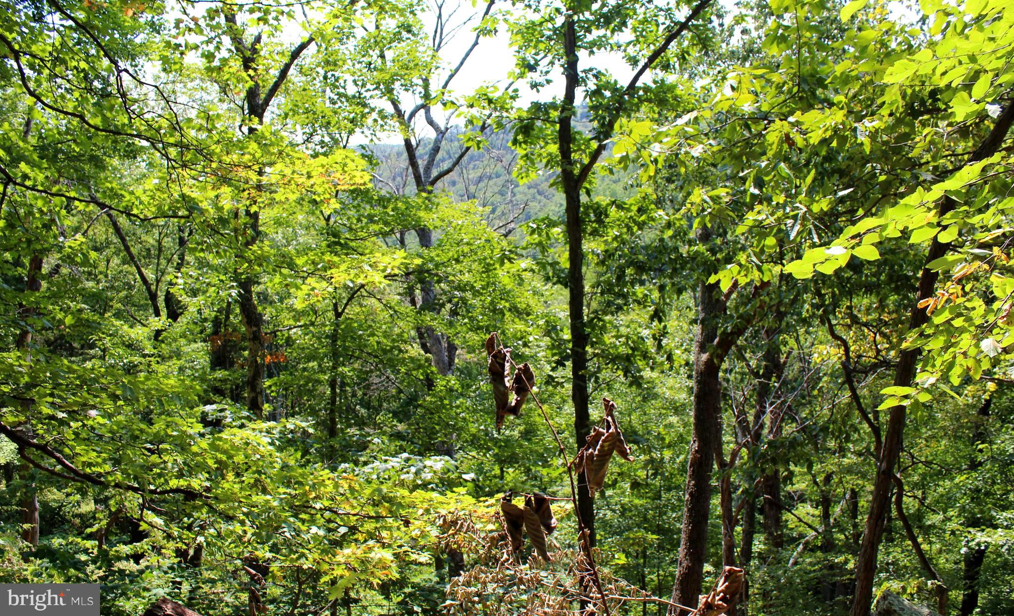 NONE AVAILABLE - Land