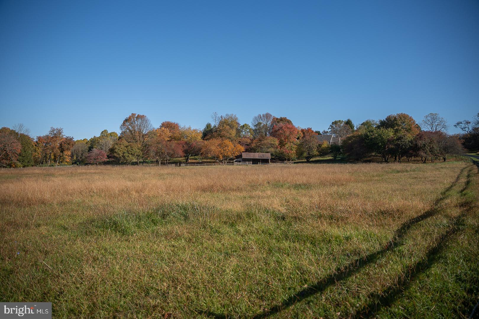 RADNOR HUNT - Residential