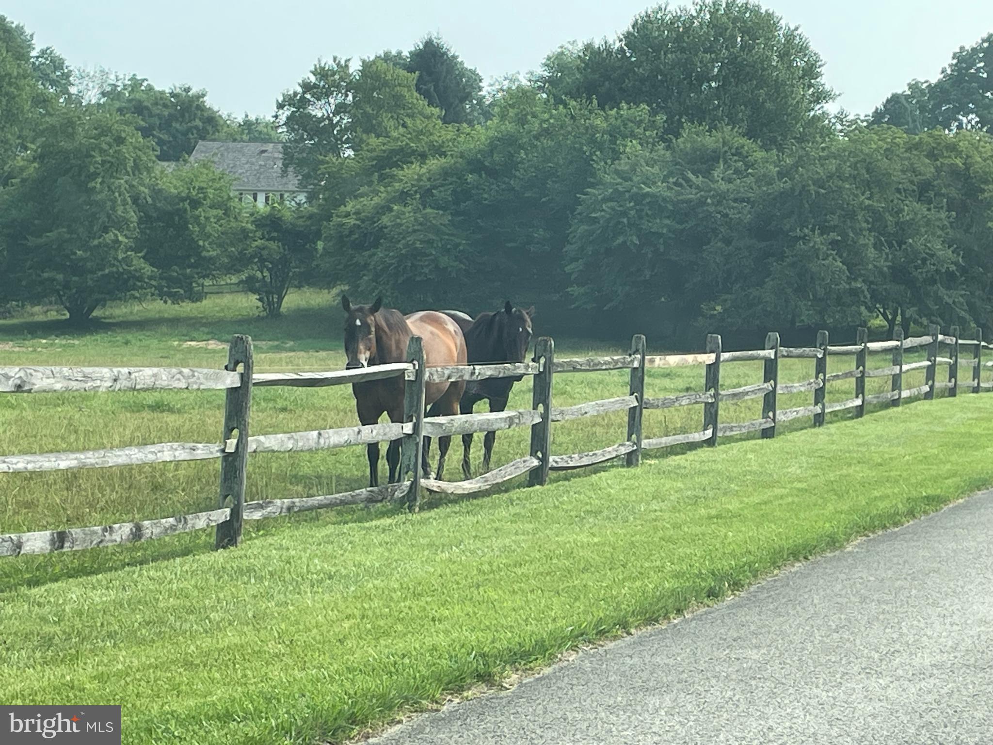 RADNOR HUNT - Residential