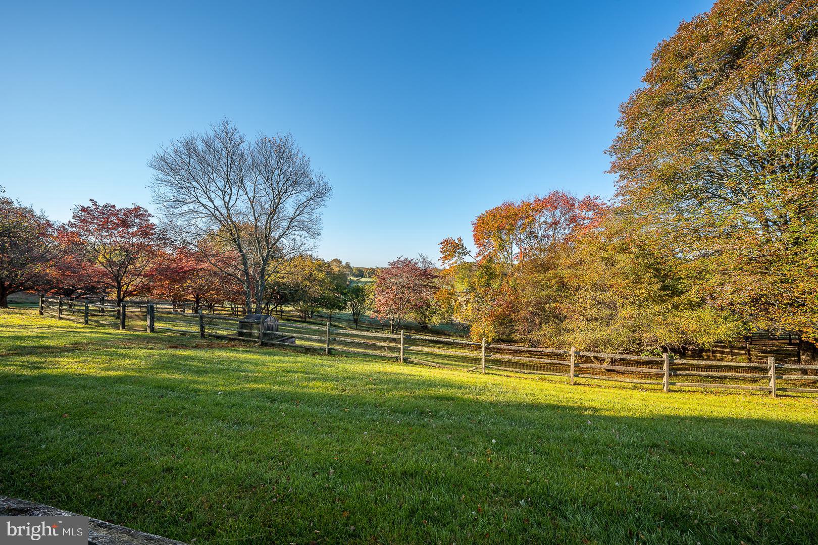RADNOR HUNT - Residential