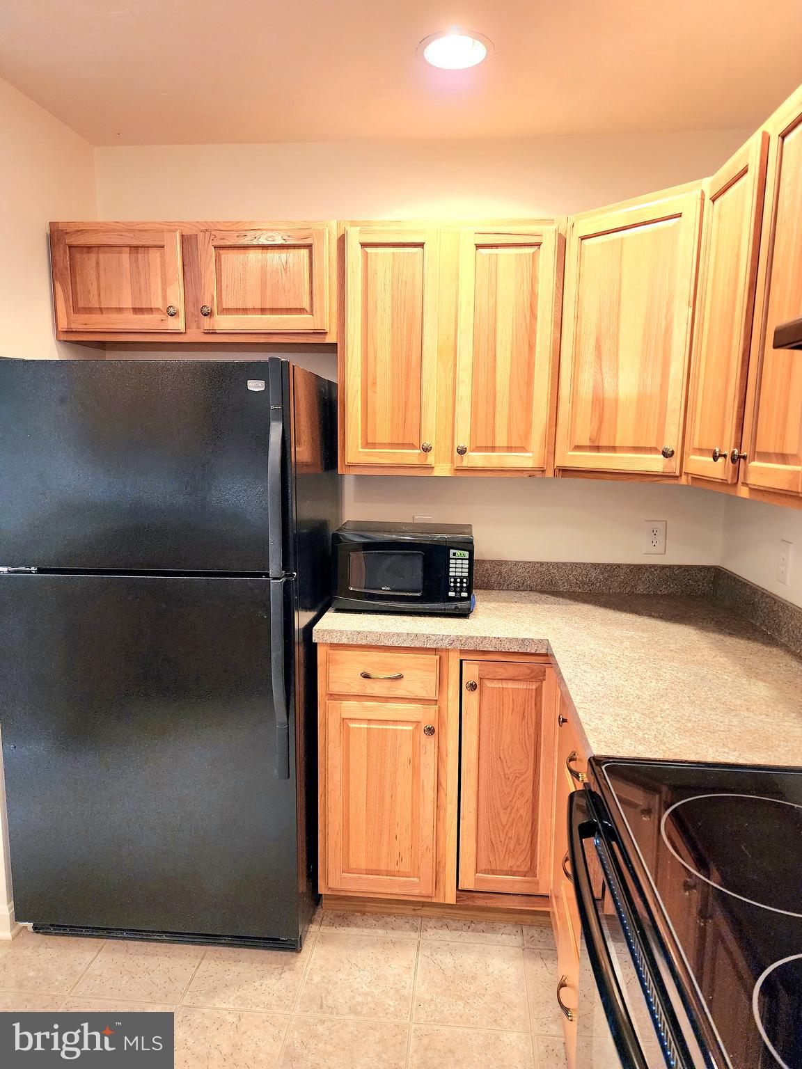 ROTH'S FARM VILLAGE CONDO - Residential