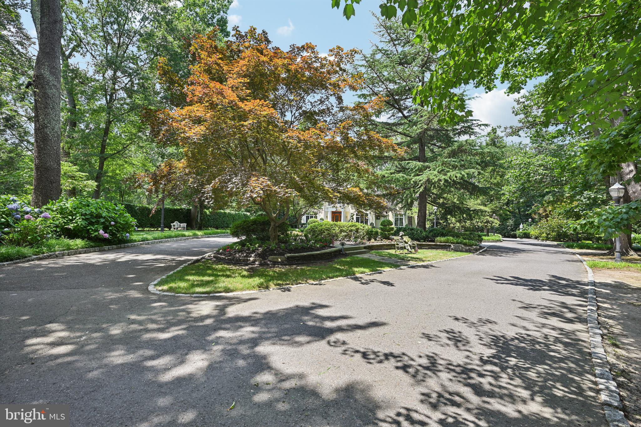 12 COVE ROAD