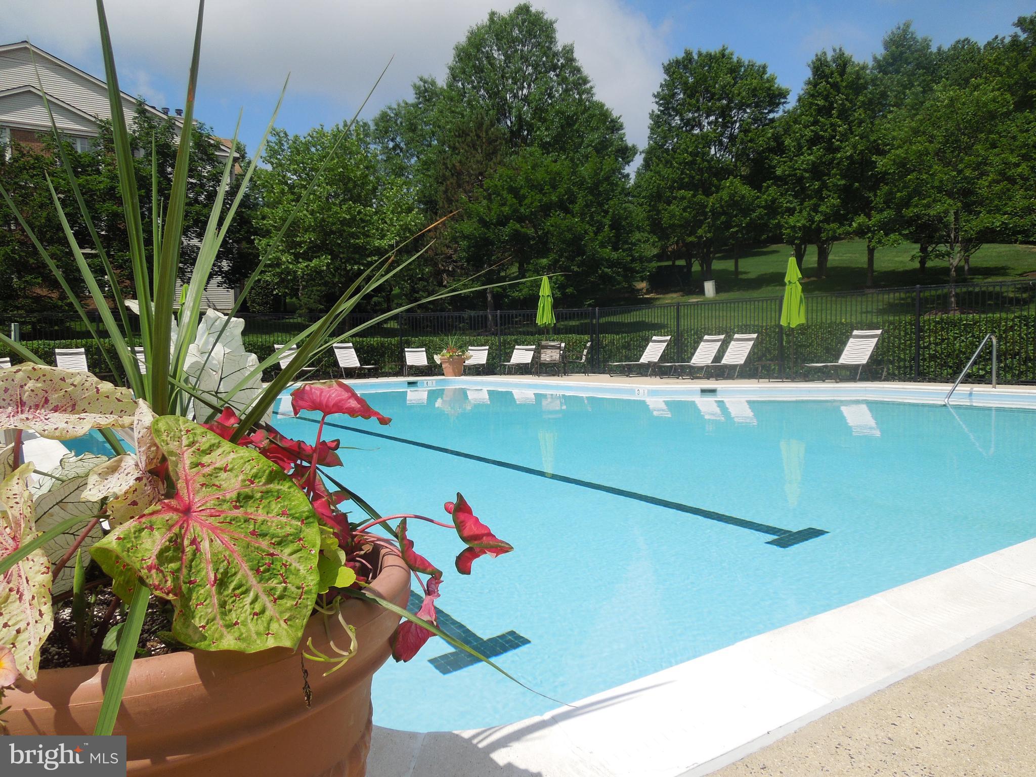 STRATFORD PLACE AT KINGS - Residential