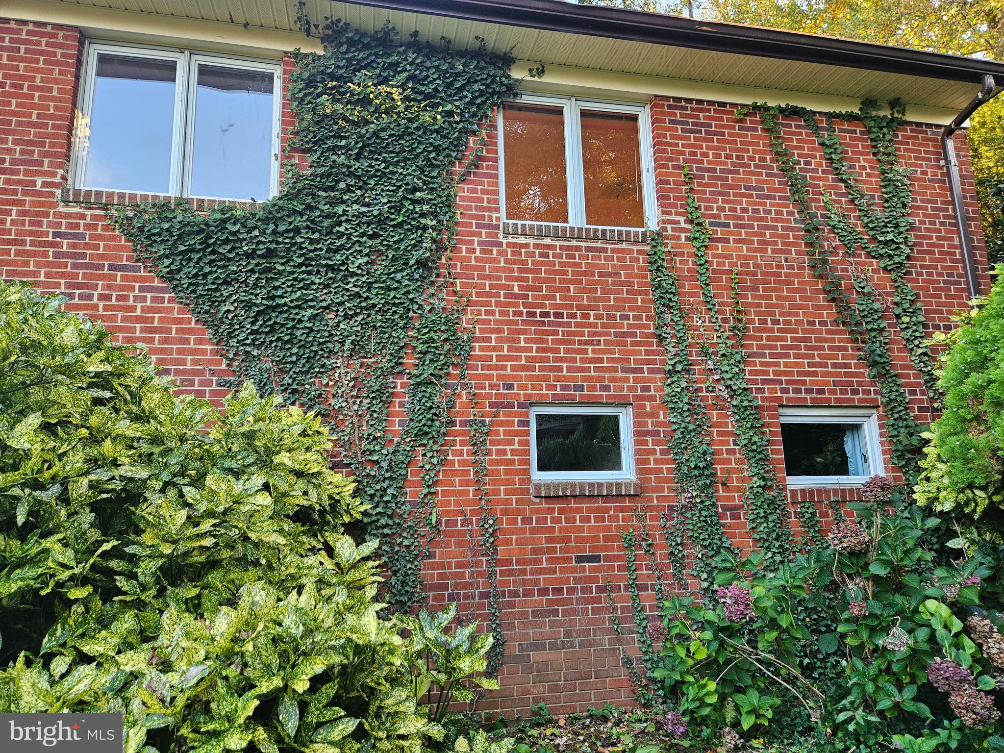 OAKWOOD KNOLLS - Residential