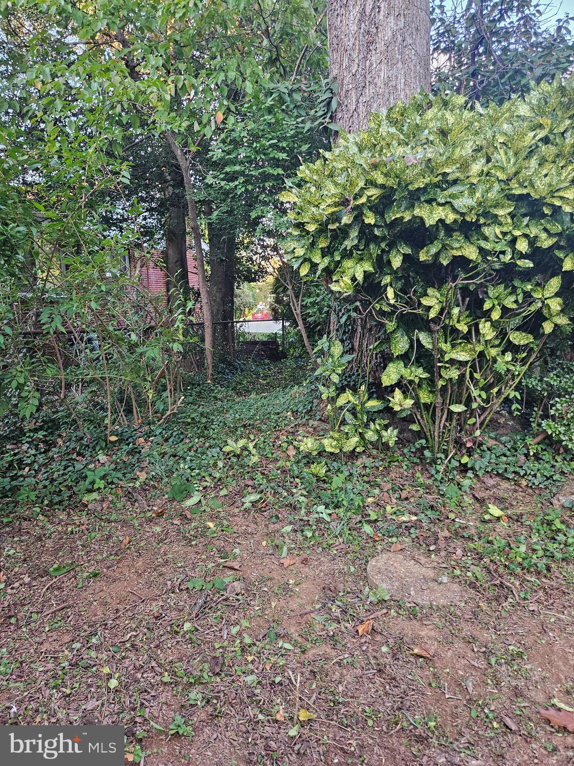 OAKWOOD KNOLLS - Residential