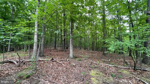 Vacant Land For Sale - LOT 53 Hidden Springs Court<br/> SLANESVILLE, WV 25444