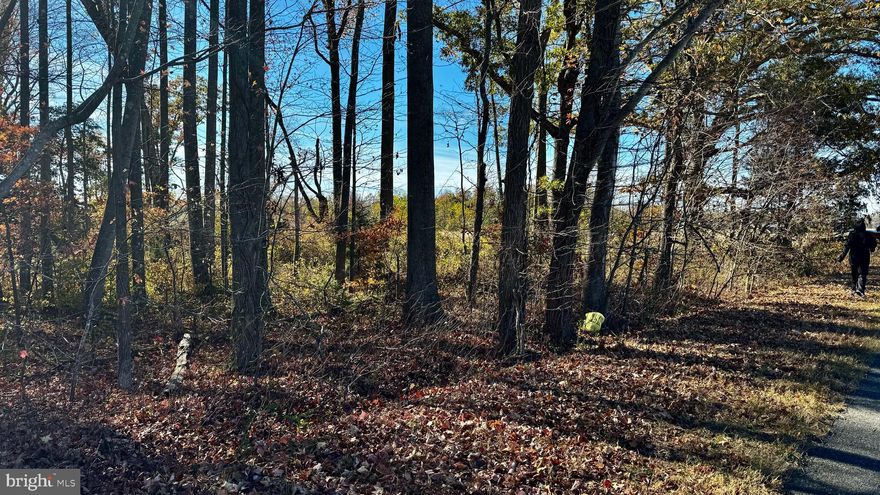Attention, future landowners and investors! This is your chance to claim 13 acres of raw, untouched potential right here in Montross, VA, on Zacata Rd! Whether you're looking to build your dream home, start a farm, or invest in the future, this land is calling out for visionaries ready to make it their own. Imagine the possibilities—wide-open spaces, and the peace that comes from knowing you own a piece of prime real estate.

This isn't just land; it's a canvas waiting for your boldest ideas. Zoned to give you freedom, and positioned perfectly for privacy yet close to community amenities, this 13-acre plot is everything you need to start living your dream. Don’t wait; opportunities like this don't last. It's time to take action. Reach out now, and let’s turn your vision into reality!