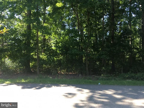 MLS: MDKE2007038