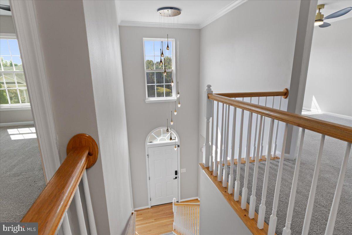 PRINCE WILLIAM TOWN CENTER - Residential