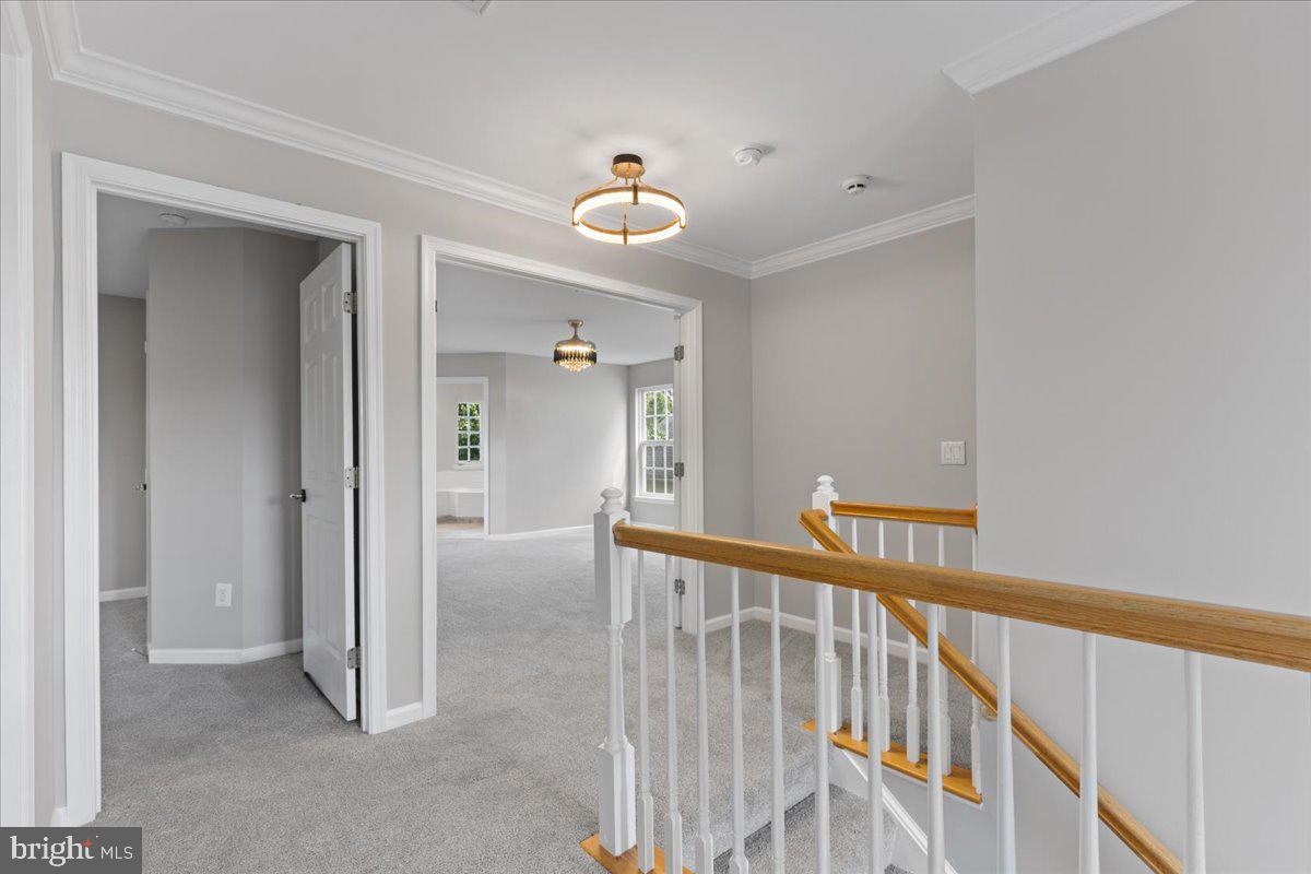 PRINCE WILLIAM TOWN CENTER - Residential