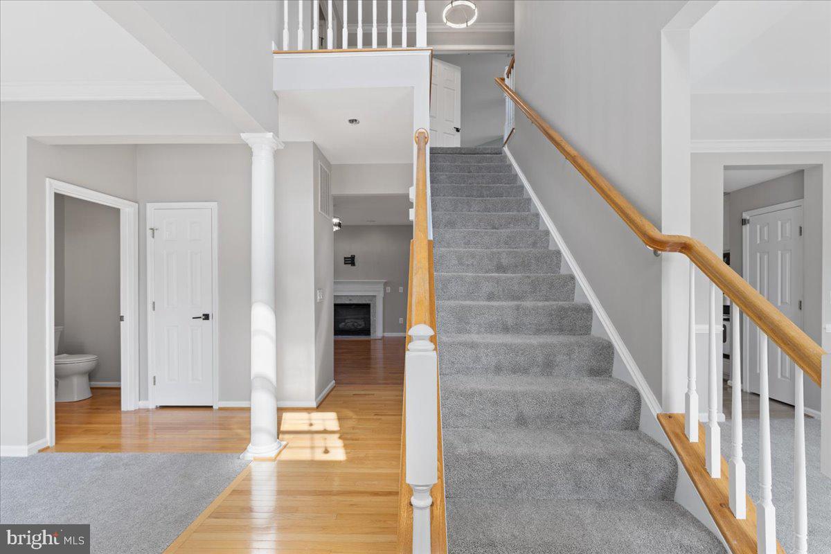 PRINCE WILLIAM TOWN CENTER - Residential