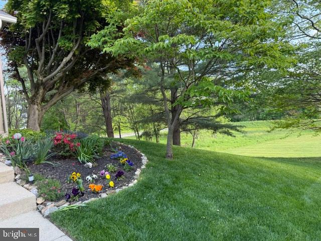 1461 4 POINT COURT 6