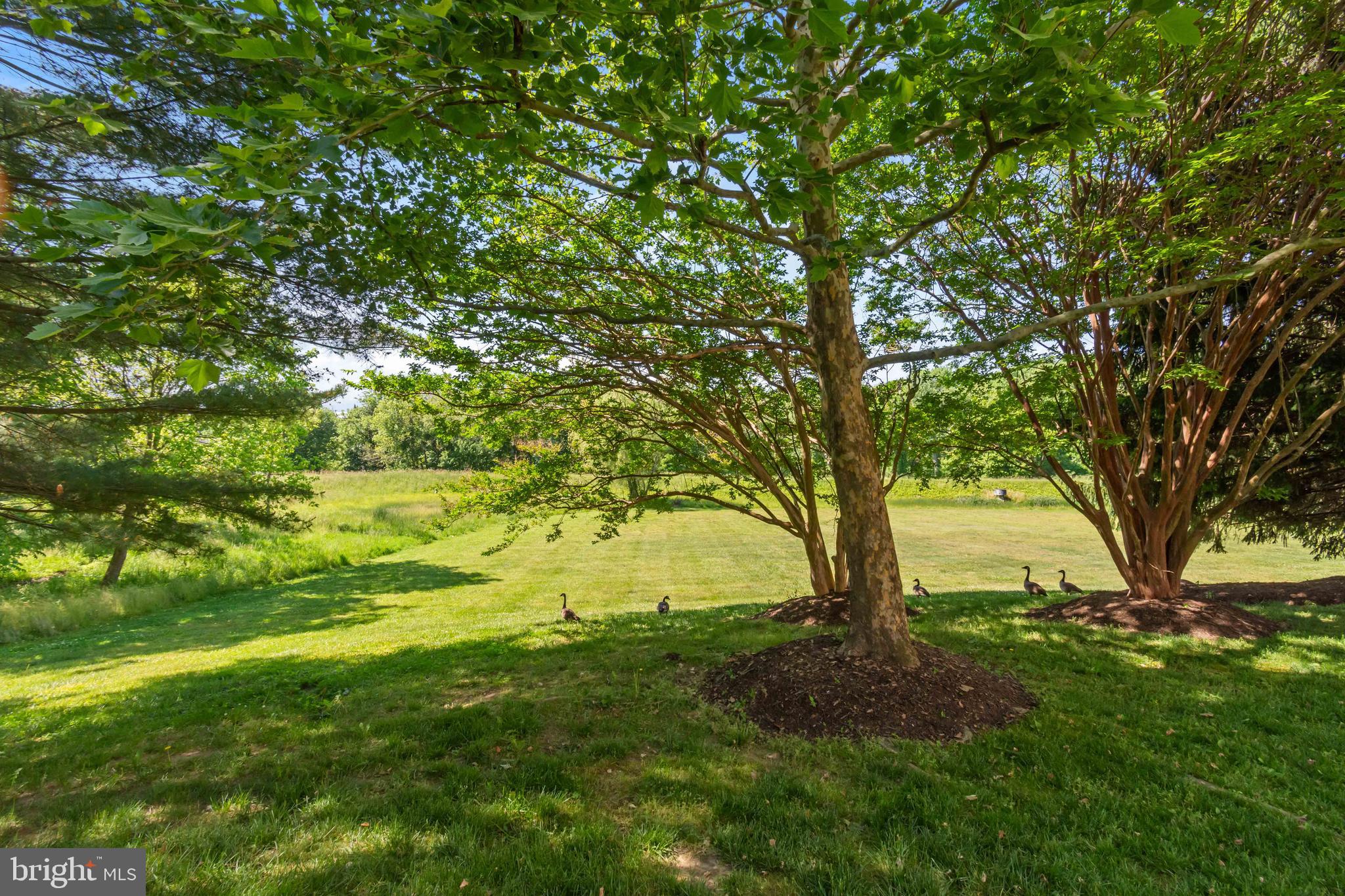 HUNTERS CROSSING - Residential