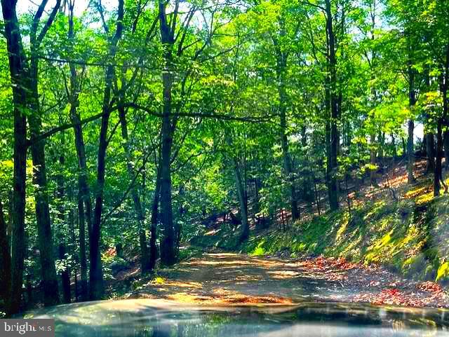 155 BONNEAU LANE