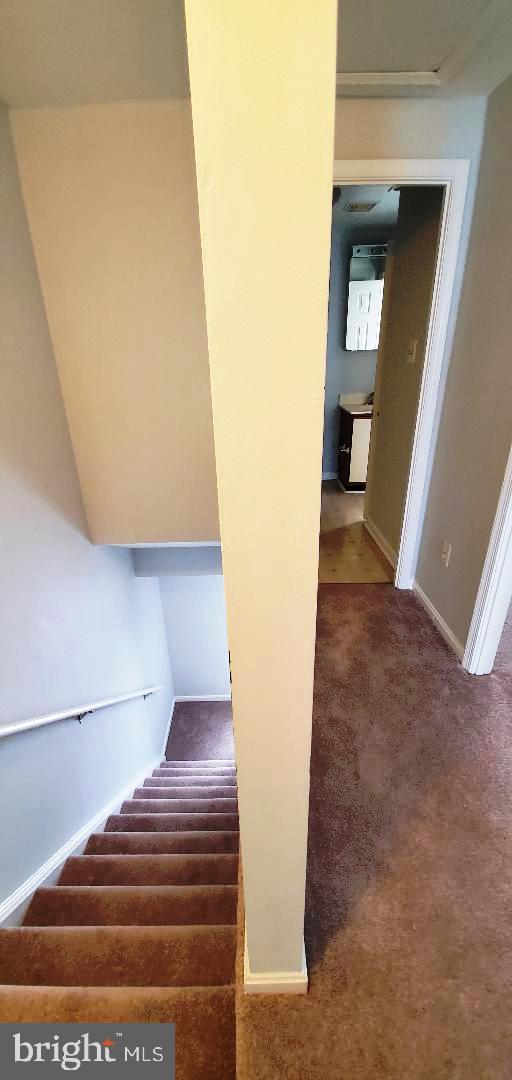 BONITA - Residential Lease