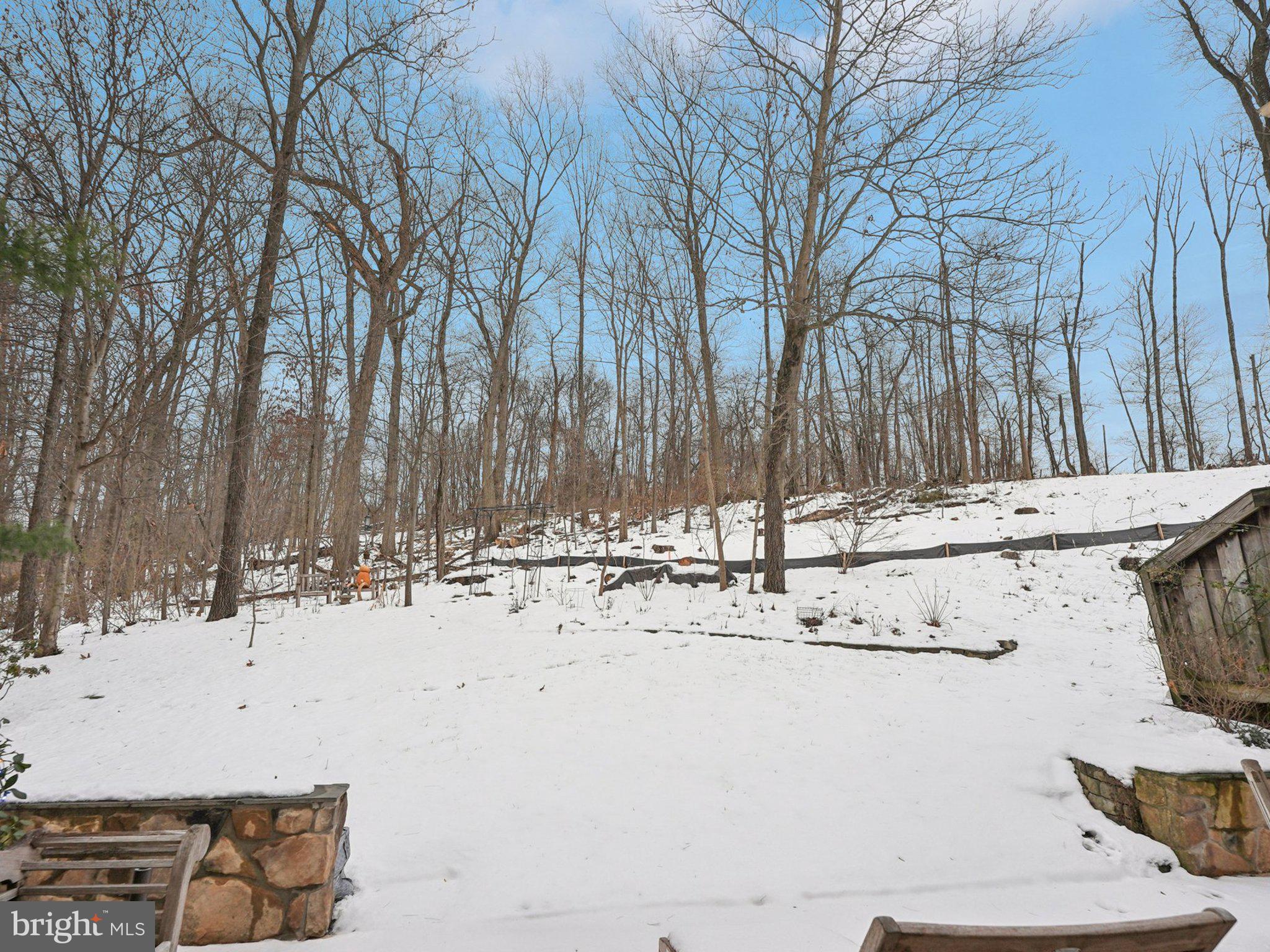 LYNETREE - Residential