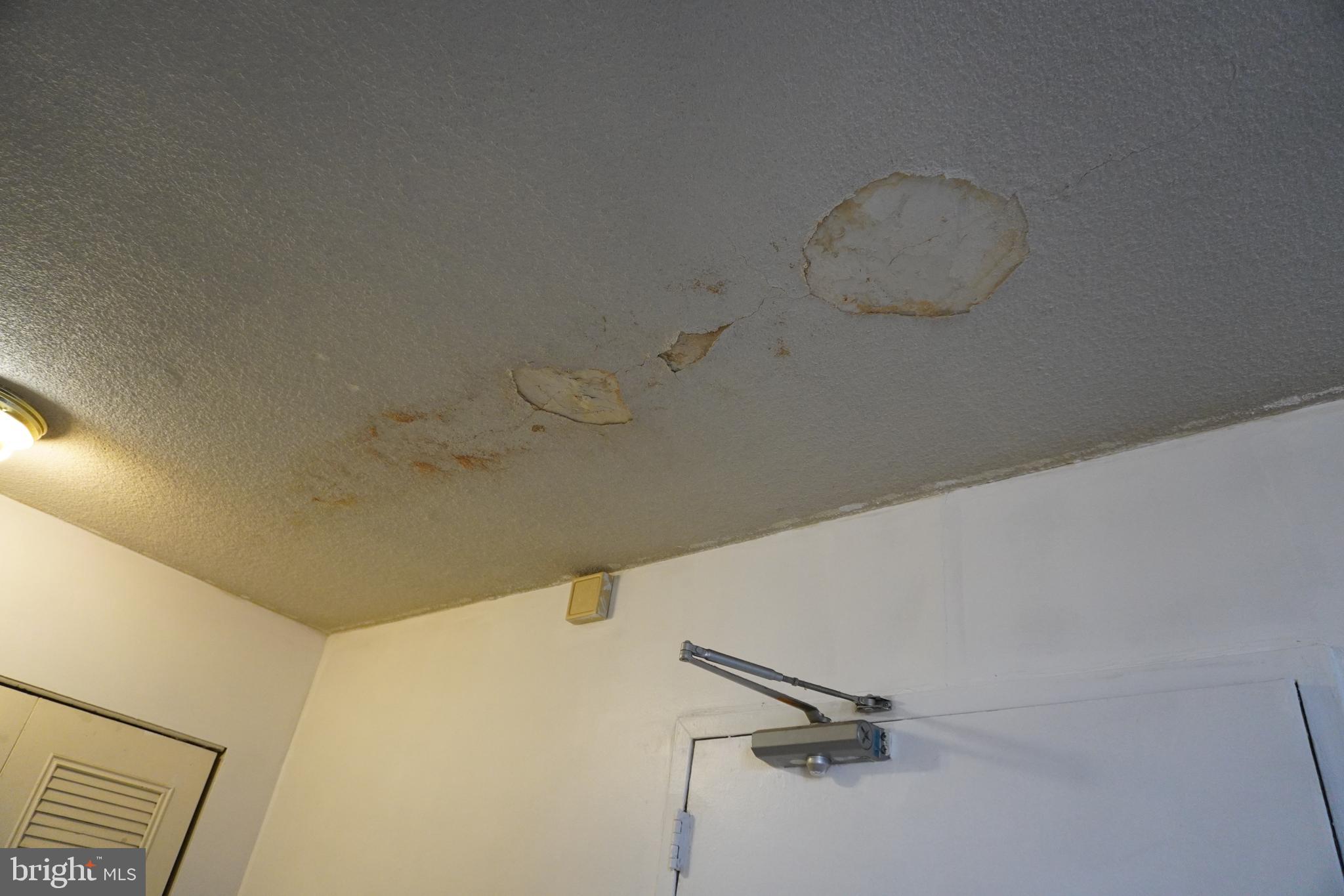 THE CARLTON - Residential