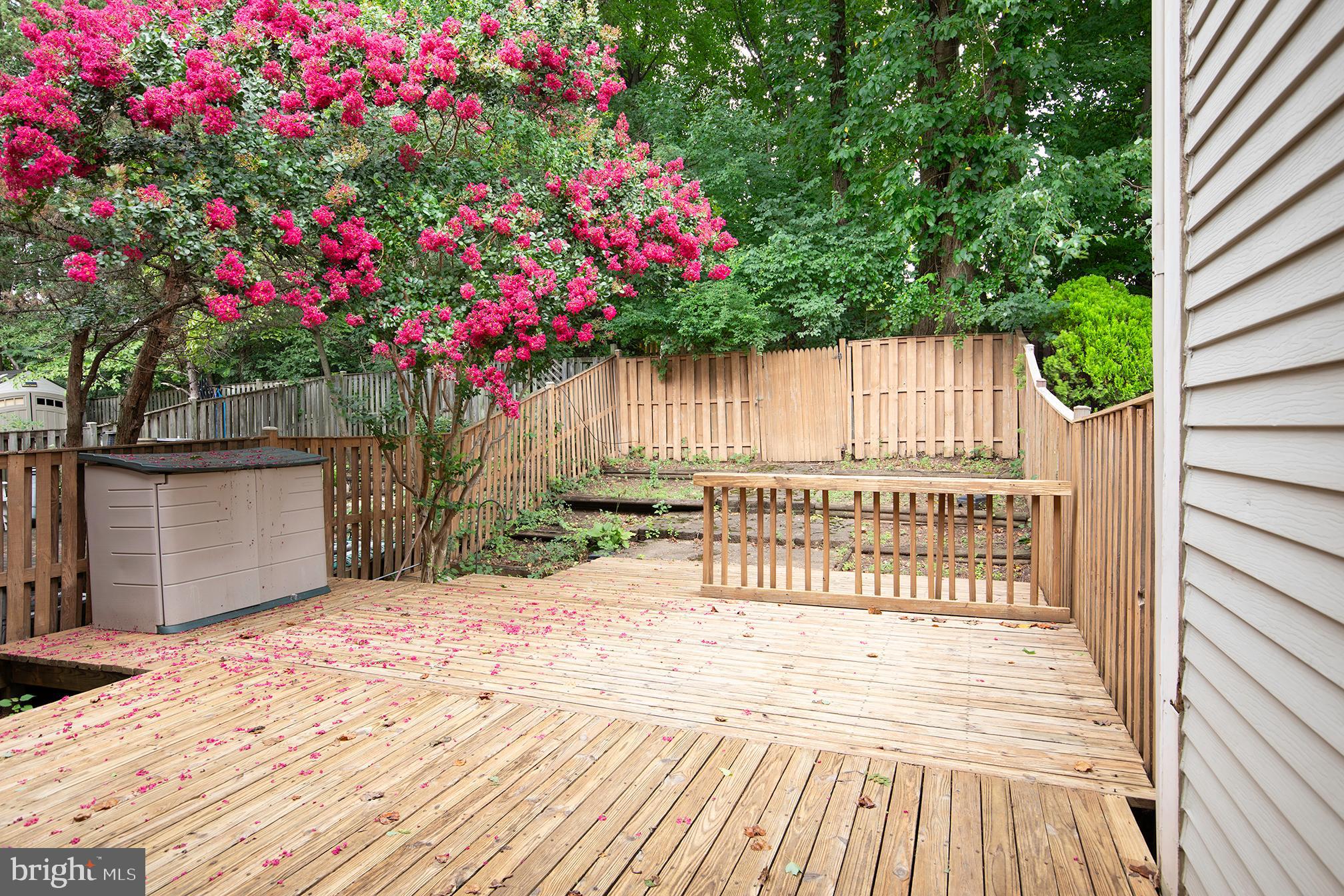 12741 TURQUOISE TERRACE