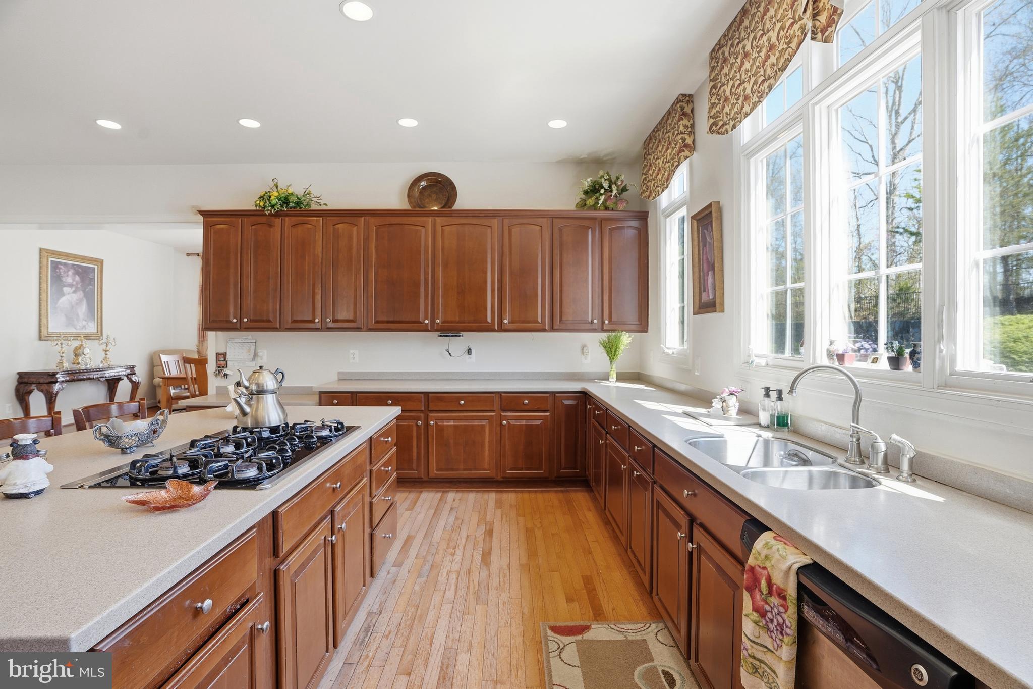 THE REGENTS AT LAKE MANASSAS - Residential