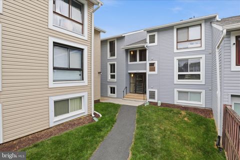 8601 SACRAMENTO DRIVE F ALEXANDRIA VA 22309