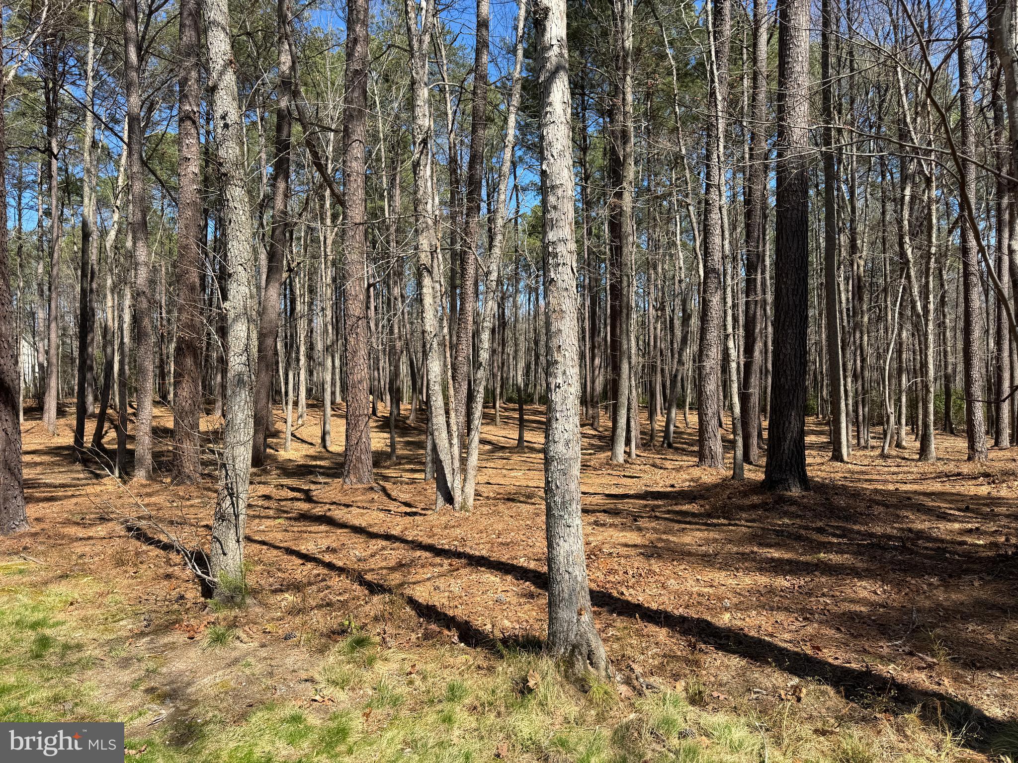FAWN LAKE - Residential