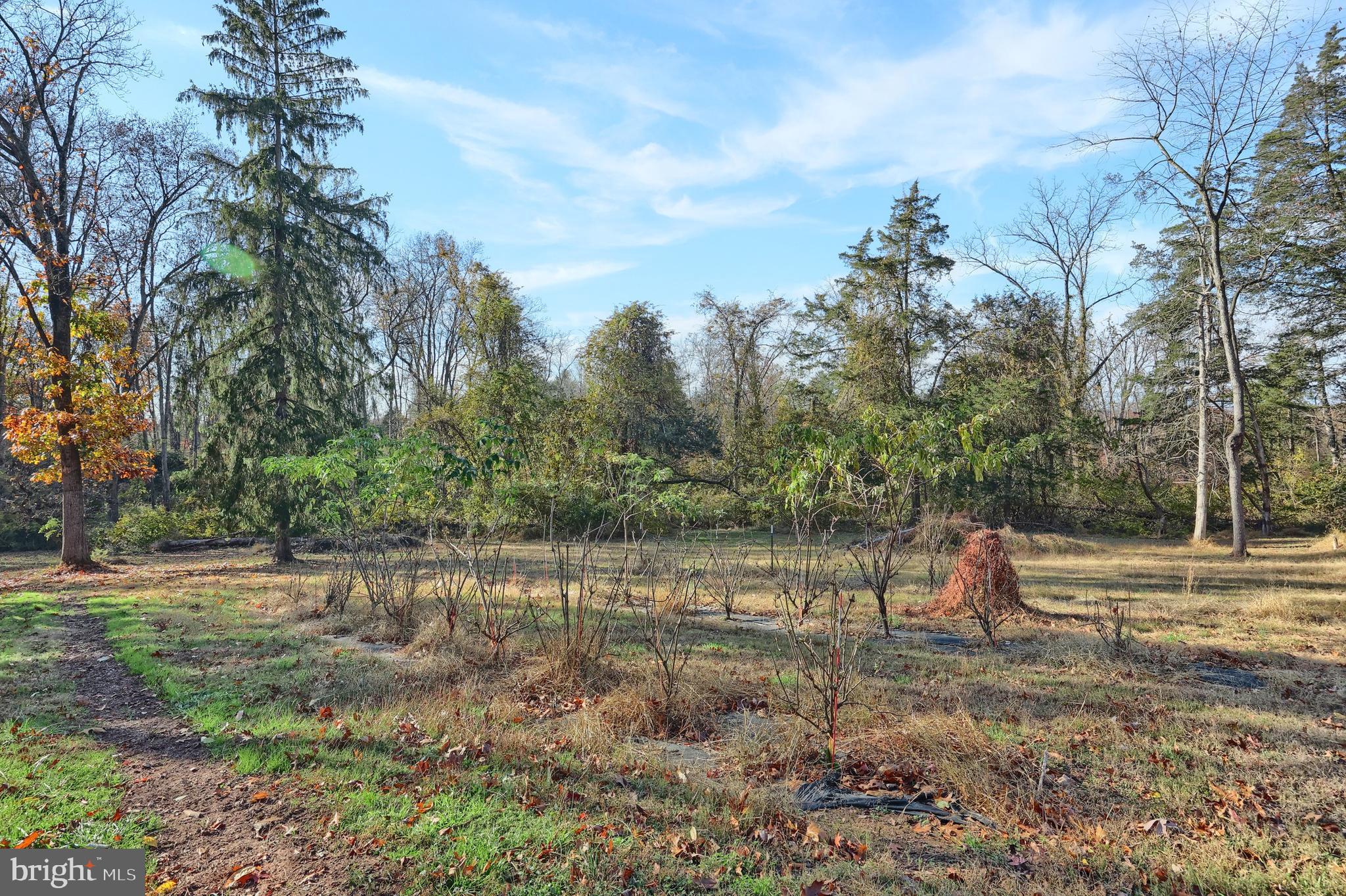 DOVER TWP - Residential