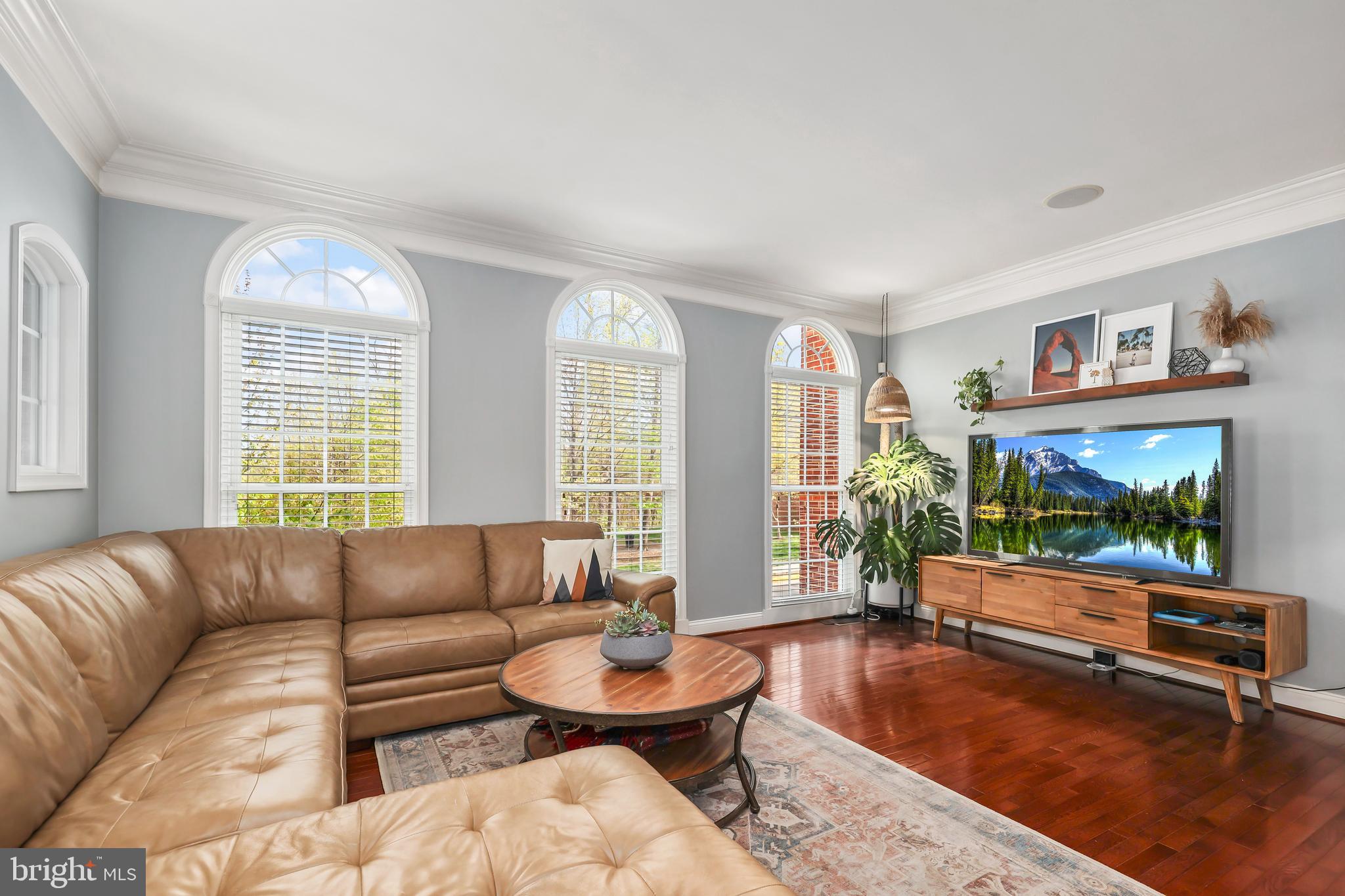 BRADDOCK CORNER - Residential