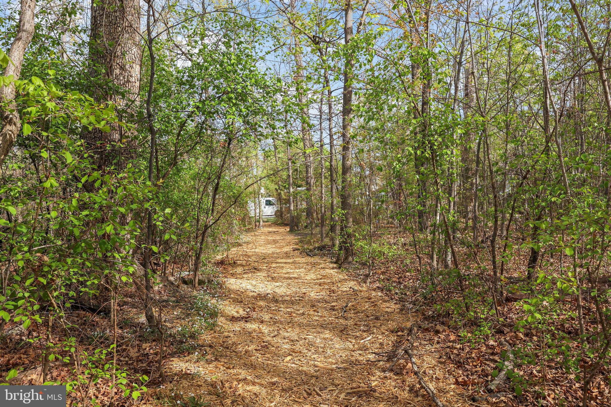 BRADDOCK CORNER - Residential