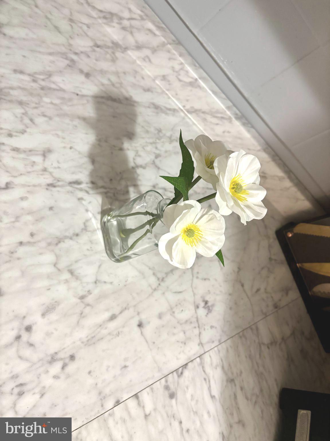 FREDERICKTOWNE TOWNHOUSE - Residential