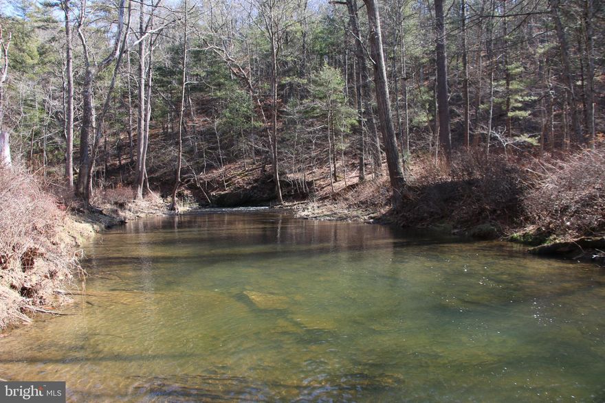 Own a piece of beautiful Bloomingdale Farms which hasn’t been on the market since 1995. This land has been family owned and operated for decades. Located just minutes northwest of Winchester near Lake Holiday. Featuring more than 1400 ft +/- of water frontage on gorgeous Isaacs Creek. Boasting a 16 bedroom septic certification letter on record with the county health department. There are (4), 4 bedroom drain fields located on this parcel in various locations. Access is secured by a 50 ft wide deeded access easement off US-522 North Frederick Pike. The entrance is gated and most of the easement has already been paved. A small stream cuts through the southern section of this parcel adding to its beauty and character There are potential building sites located throughout the property. This tract is currently being used for recreation but it would also make an excellent site for your dream home or vacation rental. Great views of the surrounding countryside are attainable with some tree clearing. This property features mildly sloping topography which is builder friendly and allows for enjoyment of the land. Utilities are close by making for easy and affordable hookups. Currently enrolled in the county’s forestry land use program to reduce the annual taxes. This is a mostly wooded property that is zoned Rural Areas. Enjoy hiking, camping, and recreation of all types on this land. Experience exciting hunting as many types of wildlife call this property home including deer, turkey, and many small game species. An almost new and very modern elementary and middle school are located just minutes away. A short drive from all the amenities and attractions Winchester has to offer. 

***Additional adjoining acreage available for purchase. See aerials for details.***