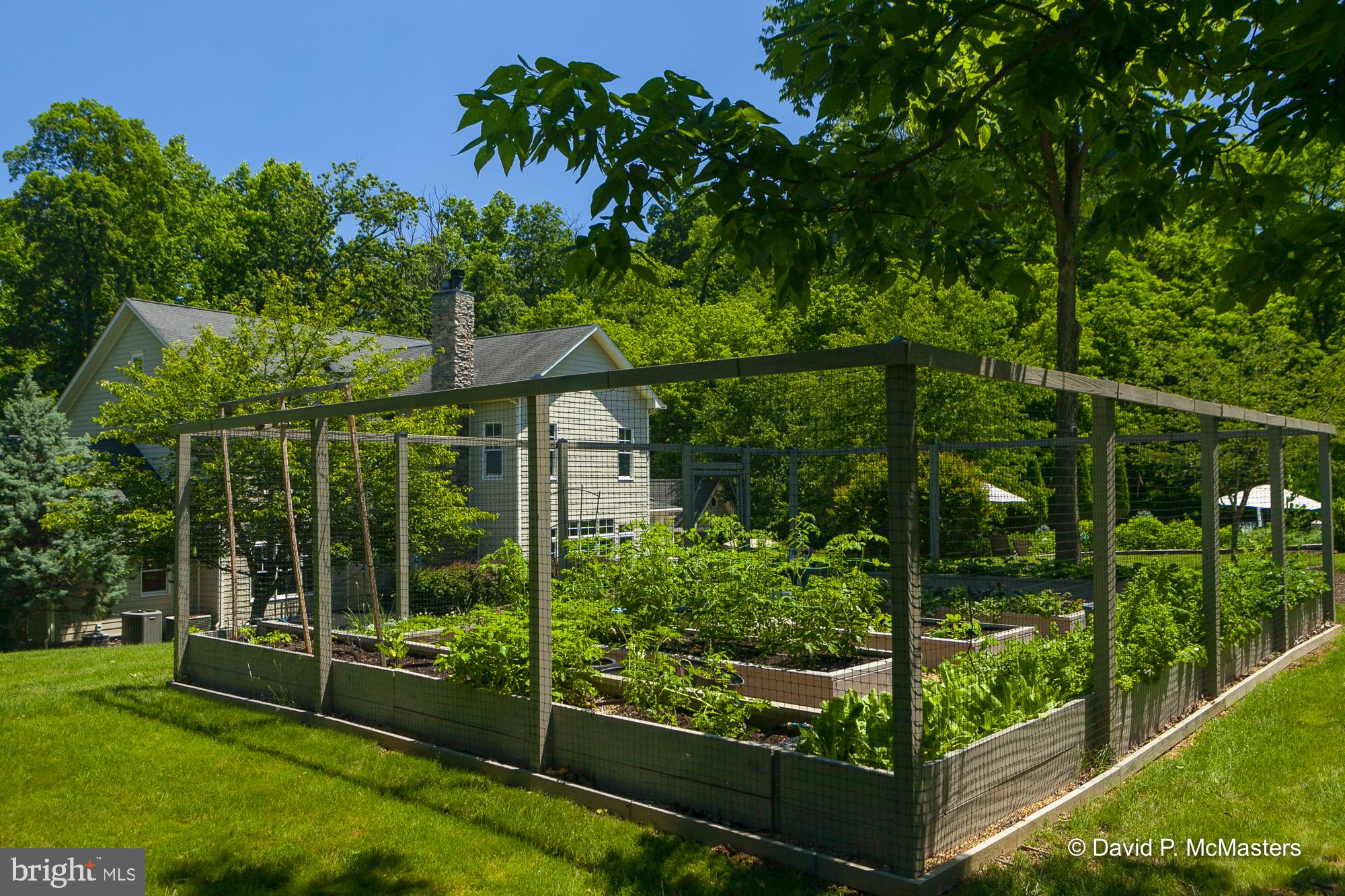 MILLPOINT - Residential