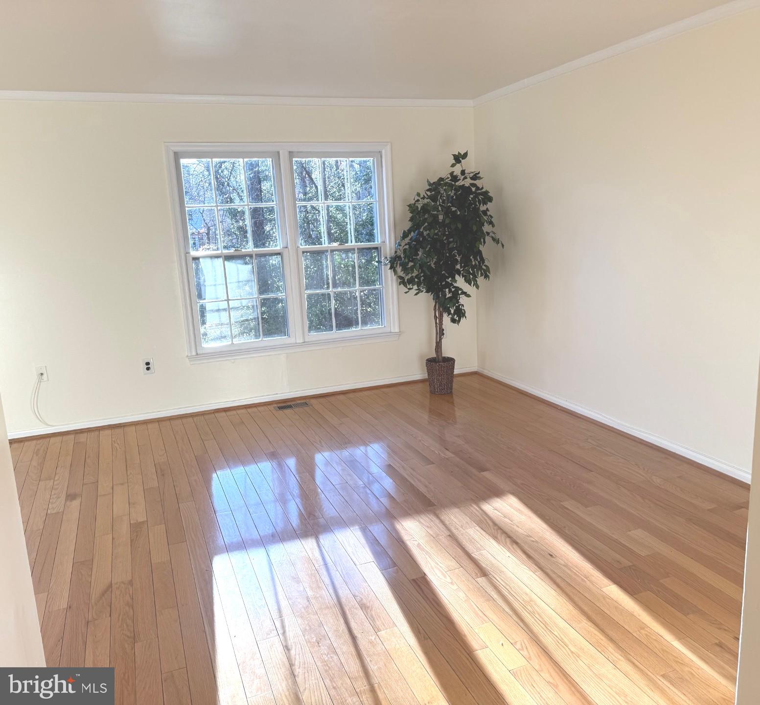 BETHELEN WOODS - Residential Lease