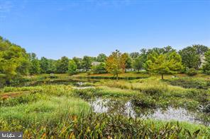 SYMPHONY VILLAGE AT CENTREVILLE - Residential