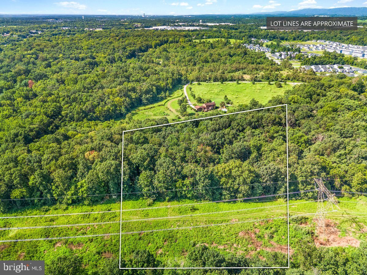 This beautiful 3.9-acre wooded lot offers the perfect combination of privacy and convenience. Perk approved for a Class 1 septic system and with a well permit already in place, it is ready for your dream home or homestead. The property is located in a desirable area close to shopping, dining, and local amenities, making it ideal for a forever home, weekend retreat, or investment. Two additional lots are available alongside this parcel, offering a rare opportunity for friends or family to create their own private compound. And did we mention, NO HOA? Schedule your showing today!