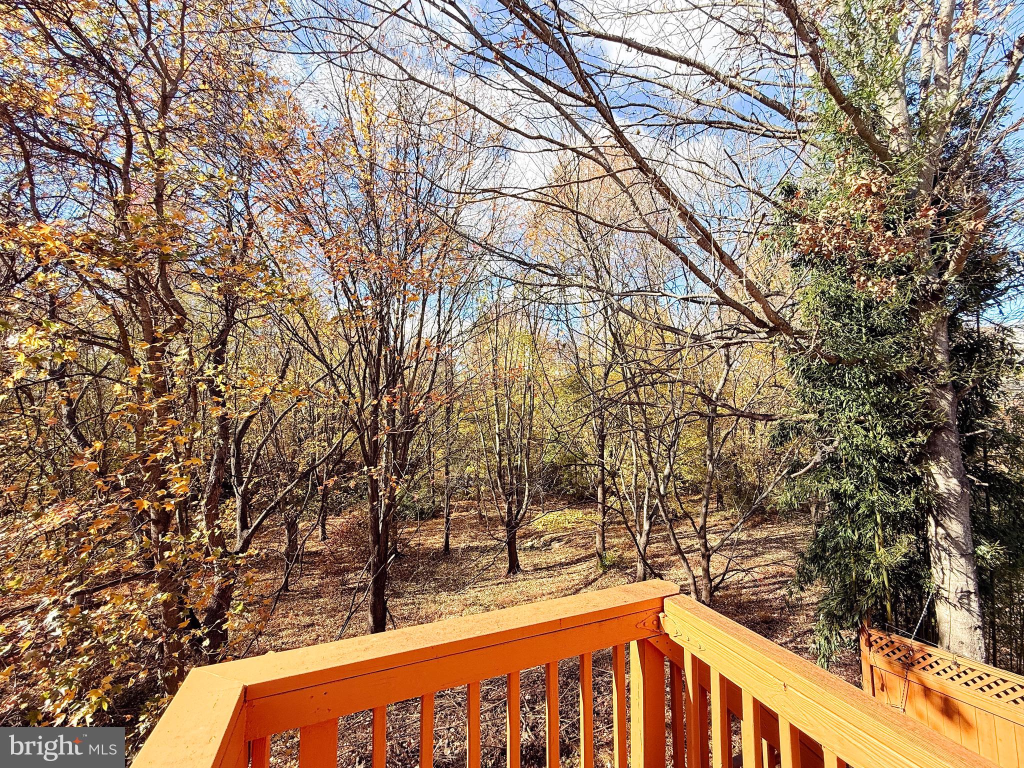 CLOPPERS MILL WEST - Residential Lease