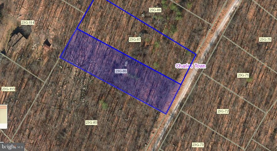 Back to active at no fault to seller! Looking to build your dream home or a mountain get away? Look no further this beautifully wooded lot is the parcel for you! Surrounded with gorgeous mountain views and undeveloped lots your secluded mountain escape awaits. Shannondale features a community lake an short distance to Shenandoah River for kayaking, fishing, swimming or enjoying dinner or drinks at the Lake House Grill with a view!
