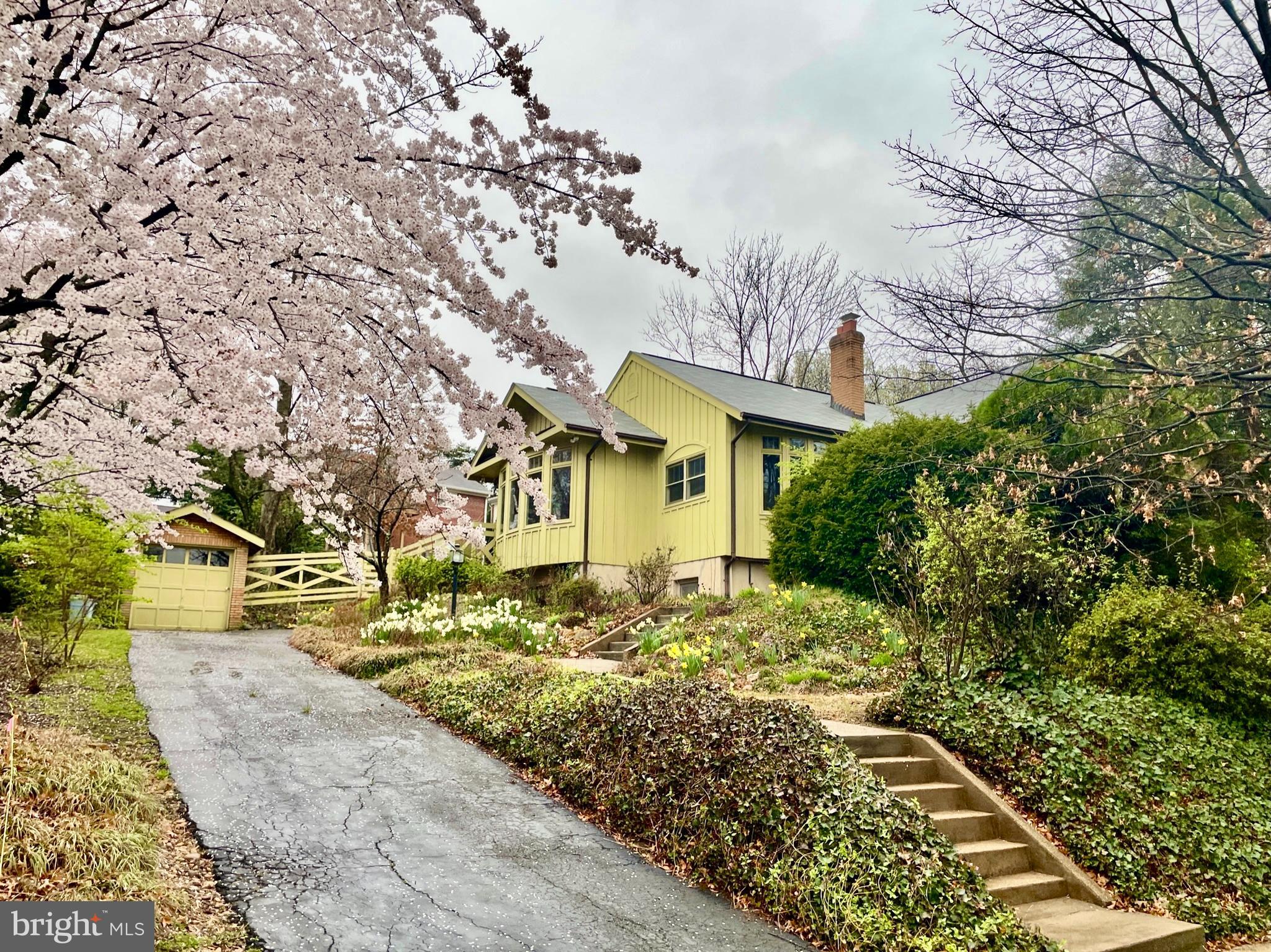 ADAMS ESTATE - Residential