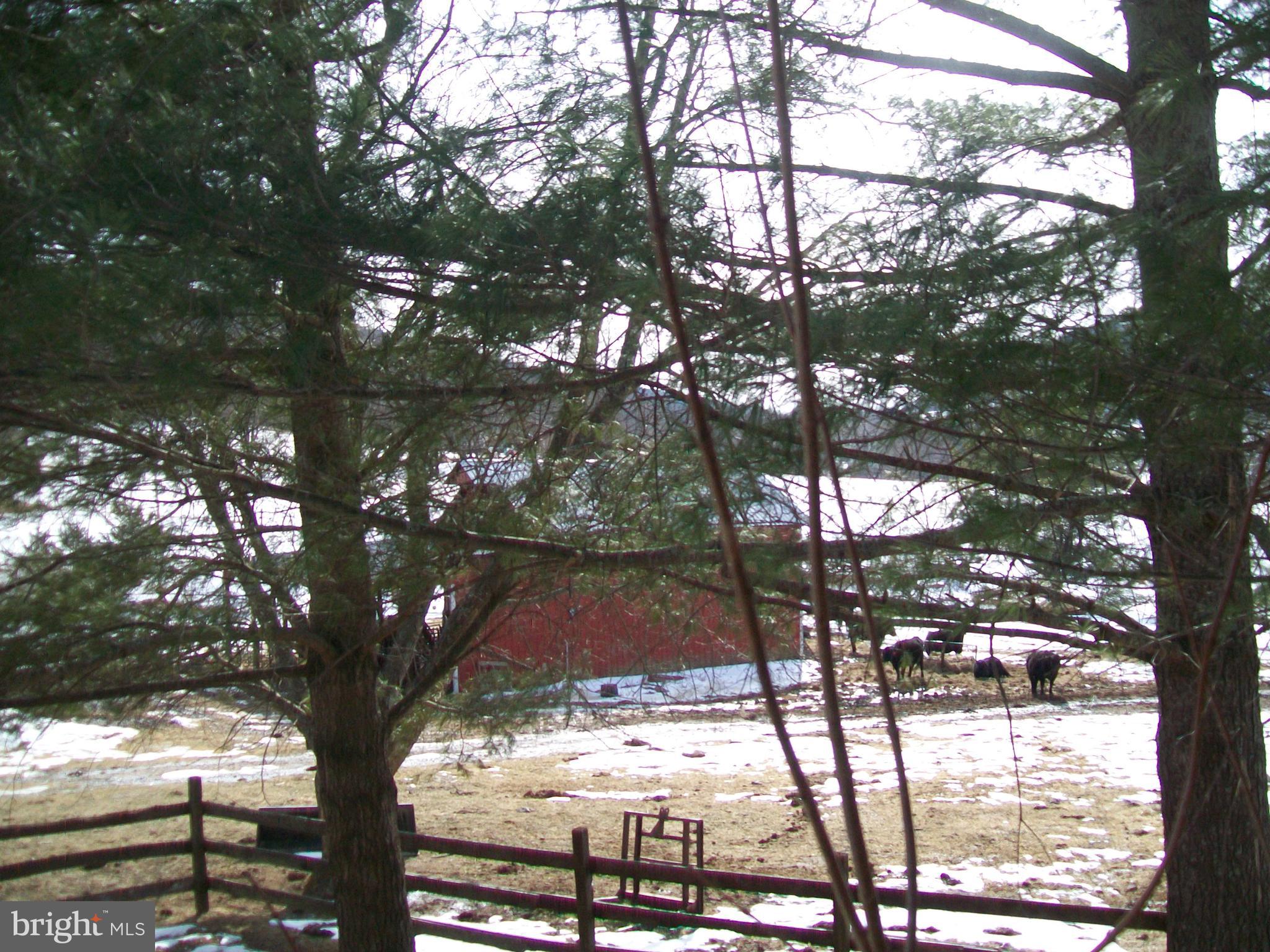 NONE AVAILABLE - Farm