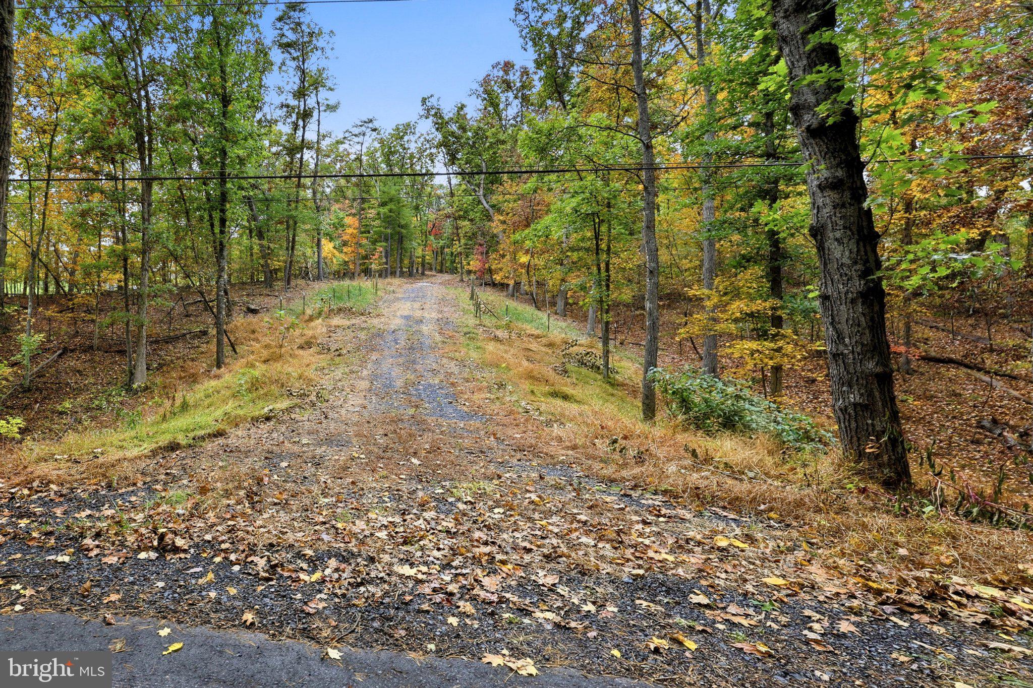 DUNHAM DRIVE