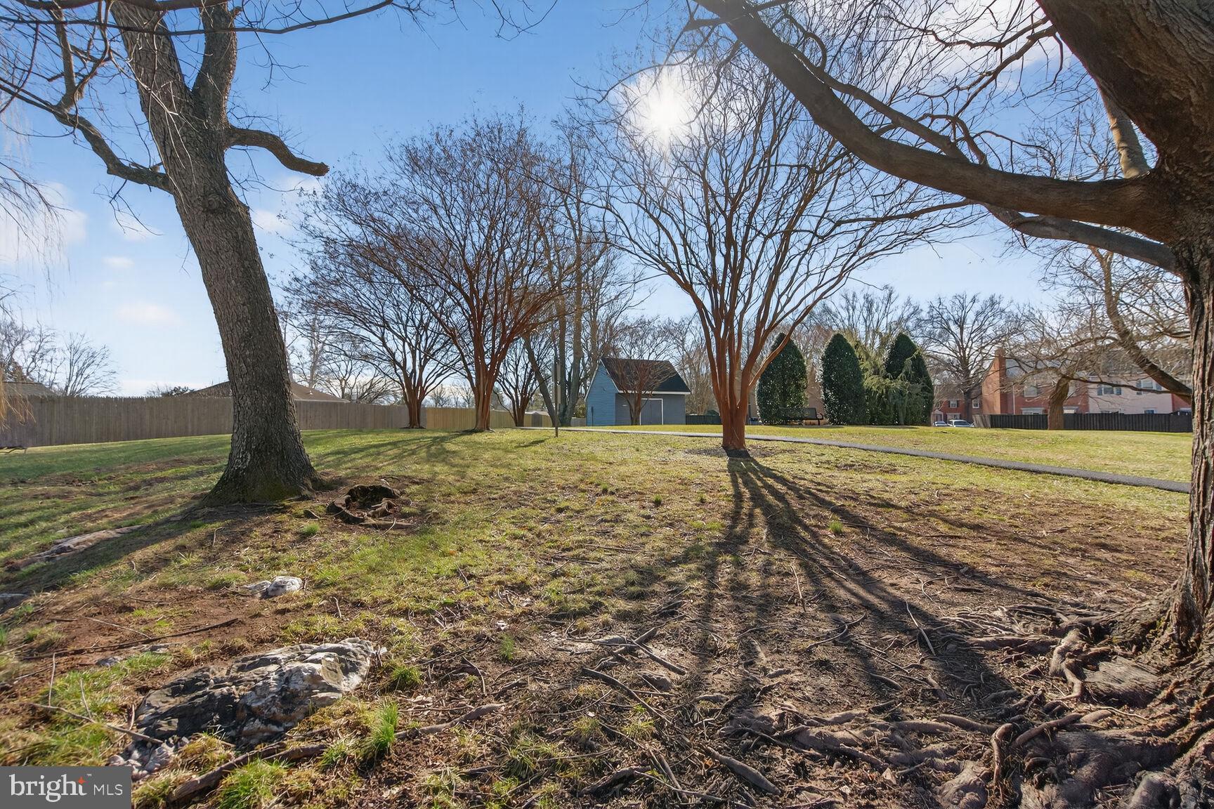 SPRINGFIELD VILLAGE - Residential