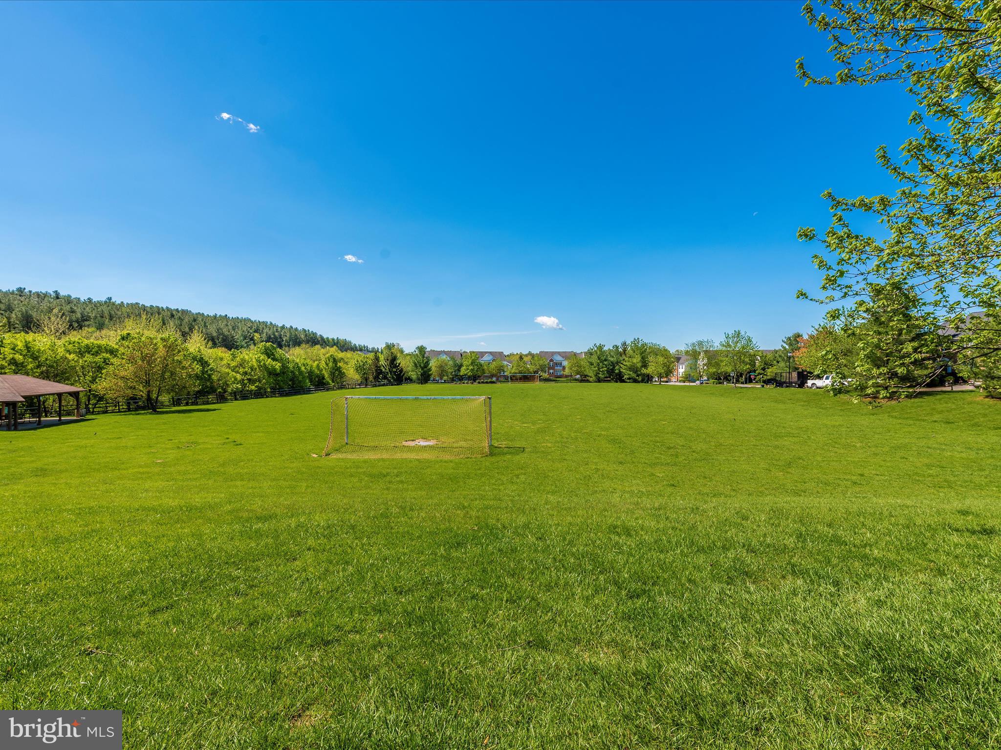 SPRING RIDGE - Residential Lease