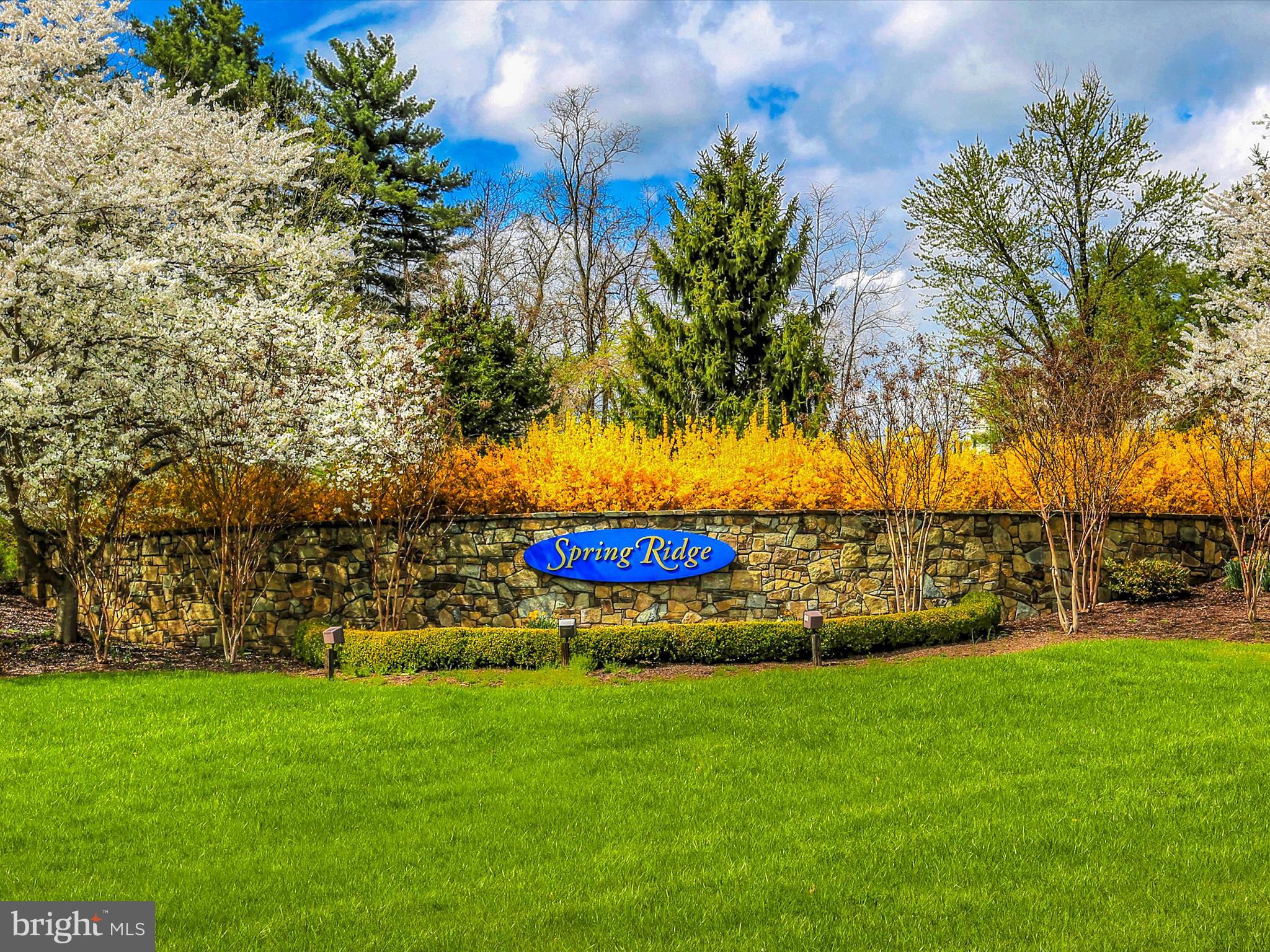 SPRING RIDGE - Residential Lease