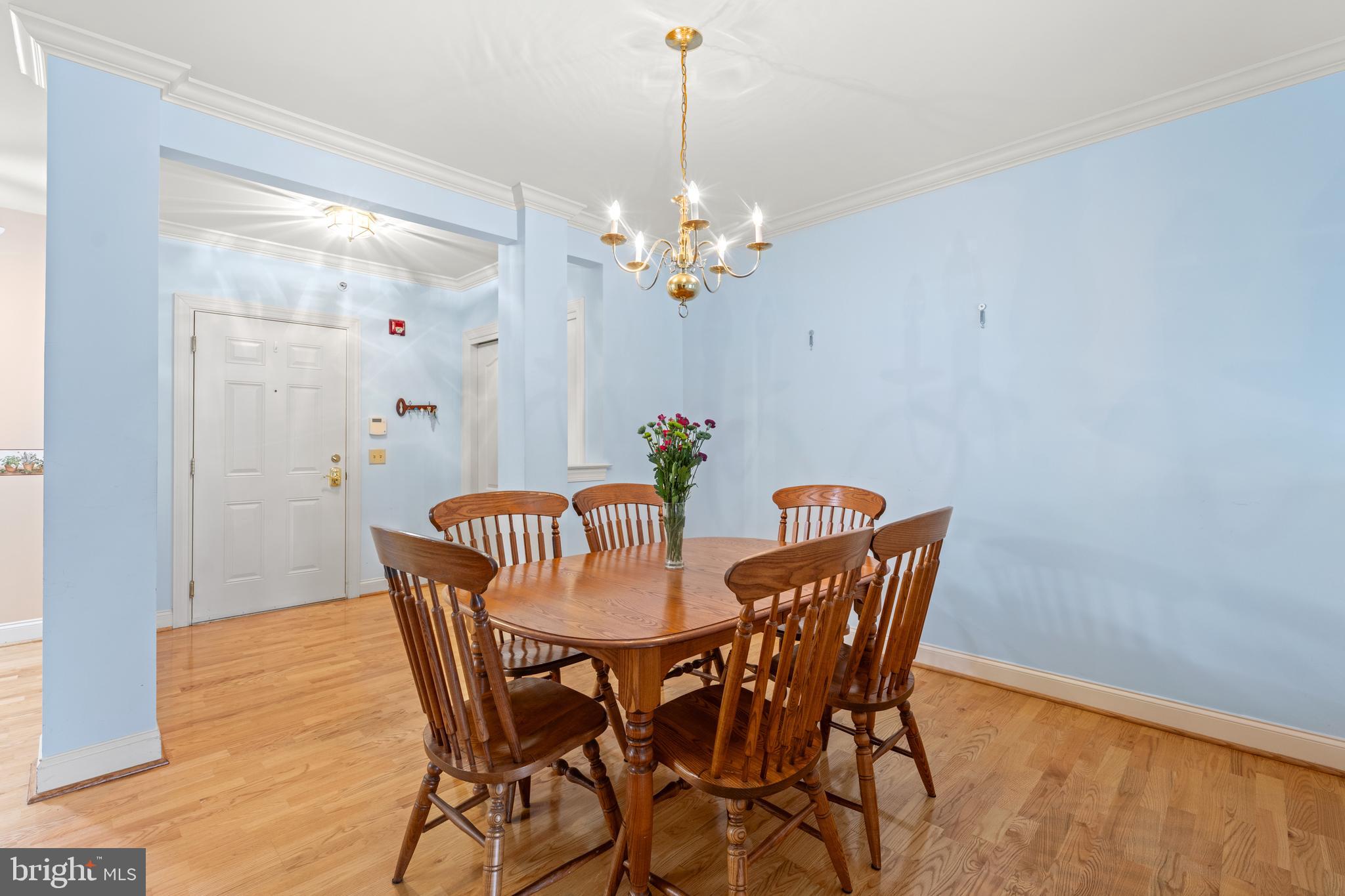 244 BALTIMORE PIKE 131A