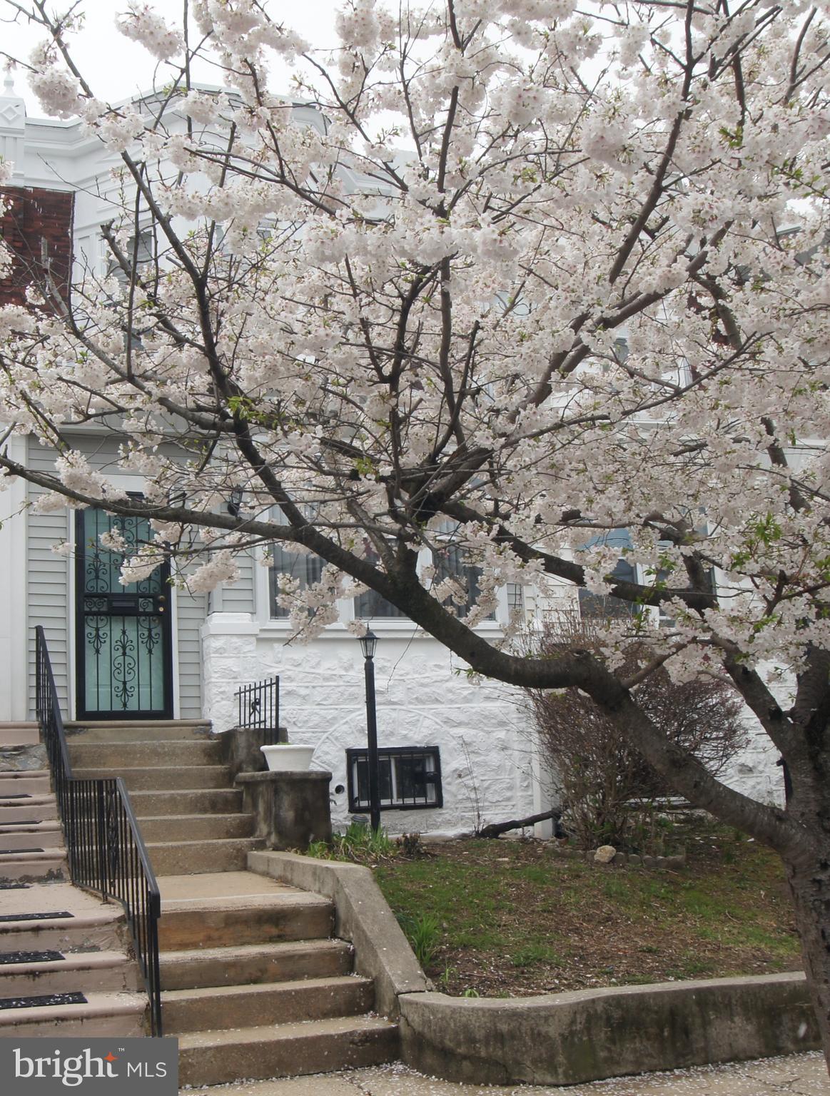 COBBS CREEK - Residential